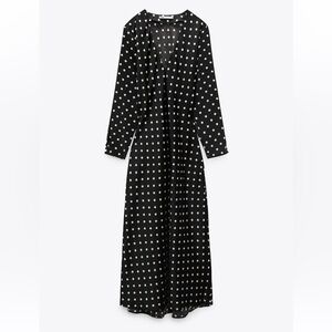 Zara Polka Dot Dress